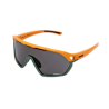 Gafas de Sol Deportivas Paradiso EASSUN
